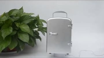 New Arrival car mini fridge portable makeup mini home fridge cosmetic fridge 4L cooler and warmer1