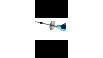 Float level gauge