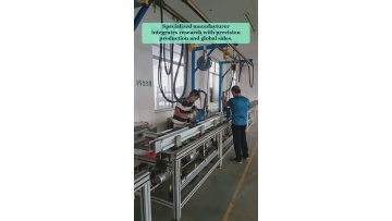 Video 21
