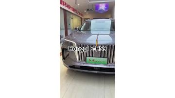Hongqi E-HS9