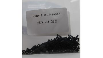 GB845 M1.7*4*2.5 SUS304 black pan head cross machine screw