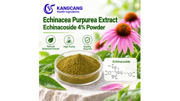 Herb Ingredients in Bulk Echinacea Extract High Purity 4% Chicoric Acid Herb Echinacea Purpurea Extract Powder