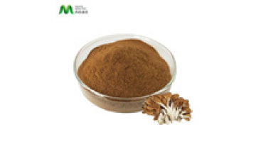 Natural Maitake Extract Powder and Organic Maitake Mushroom Extract Powder1