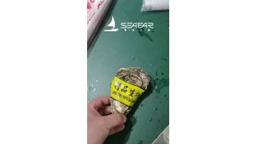 Ultra-high pressure oyster molting experiment