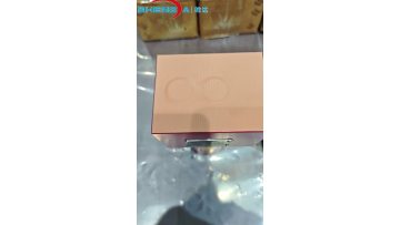 Pressure filter SDDFP BNHC 110 QB 5 B 1.X-L24