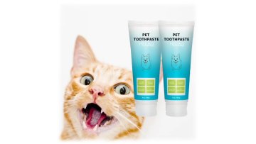 Private label Natural Vegan Dental Cleaning Pets Toothpaste Organic Oral Dental Stone Clean Dog cleaning pets Toothpaste1