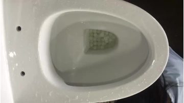one piece toilet 8258 flushing 