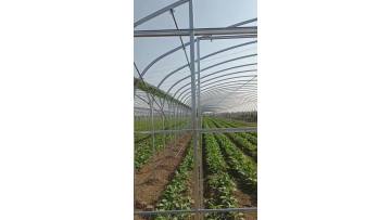 Film Multi-span Greenhouse