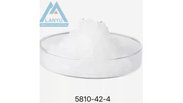 Tetrapropylammonium Chloride TPAC CAS 5810-42-4
