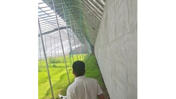 Chinese Winter Warm Plastic Energy Saving passive solar In-Solar Greenhouses1
