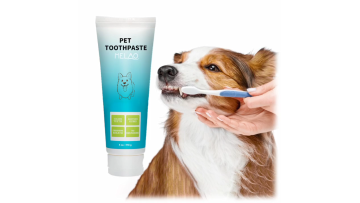 Wholesale Private label wholesale Professional Dental organic Natural dog & puppy toothpaste for pets Teeth Cleaning1