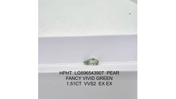 mukesh patel green lab diamond