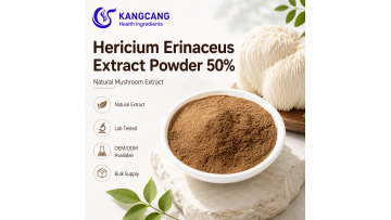 Lion’s Mane Mushroom Extract Powder
