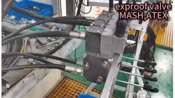 exproof valve 