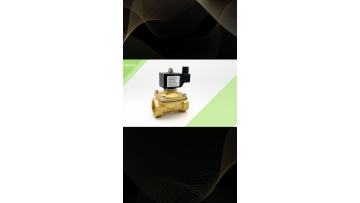 2 Way Normally Closed Water Air Gas Brass Solenoid