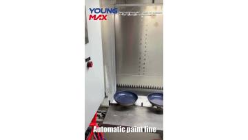 Automatic paint line