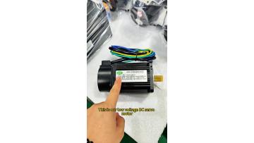 dc servo motor