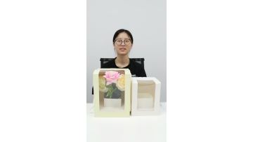 Aoxin-bo2021-0035