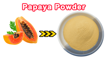 Papaya Powder