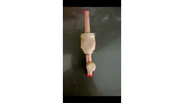 sight glass H
