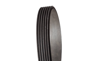 PJ Ribbed Belt 1
