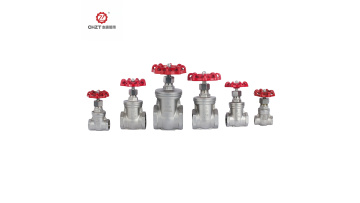 gate valve