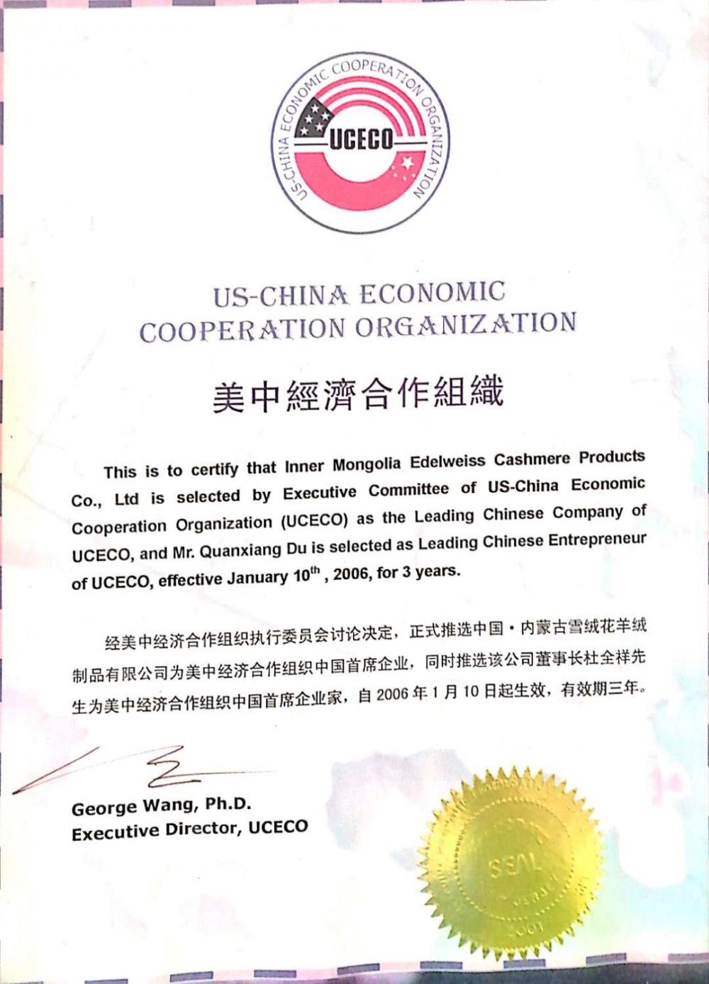 LEADING CHINESE COMPANY OF UCECO