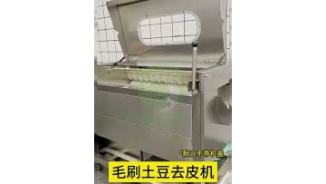 Potato Peeling Machine