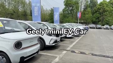 GEELY Panda mini