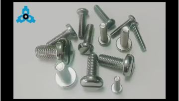 PAN SLOTTED SCREWS.mp4