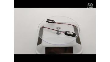 2209 speaker.mp4