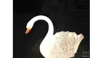 swan lights.mp4