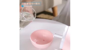 Portable Mini Humidifier 260ml Small Cool Mist Humidifier with 7-Color LED Night Light  USB Desk Humidifier1