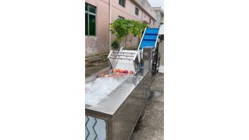 Apple Processing Line 
