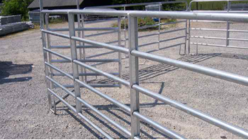2022 new product powder coated livestock fence panels used round tube cattle panels1
