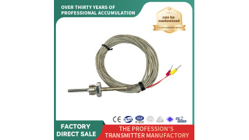 Thermocouple Temperature Sensor(WR-2)