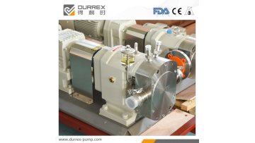 Testing for rotary pump