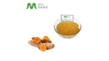 Organic Curcumin Powder Wholesale Supplier1
