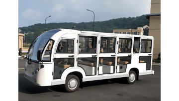 14 seater gaslie sightseeing car