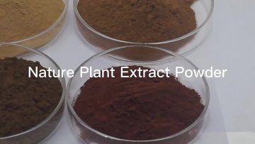 High Quality Bulk Price Epimedium Extract