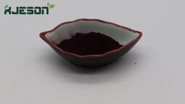 Elderberry Extract 25%