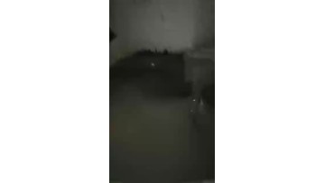 wet concrete planetray mixing video