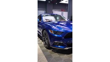 MP08-P Metal Paint Blueburry Car Wrap