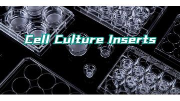 NEST-Cell Culture Inserts Collection-2022-10-17