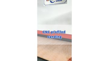 SDS13-Sanding of Furniture Veneer Doors