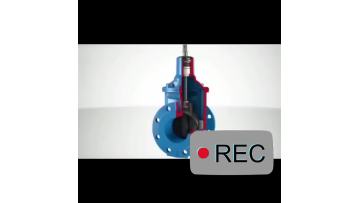 Non Rising Stem Gate Valve