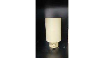 Alumina ceramic function parts