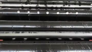 black mulch film with holes.mp4