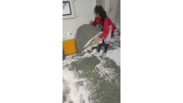 foam beanfilling257_1702274605