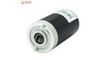 ZDY113S Permanent Magnet Motor 12V 800W1